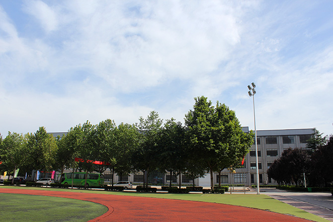 IMG_2935.jpg