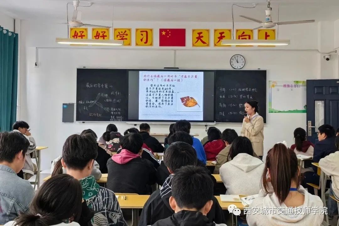 1702887321273306.jpg
